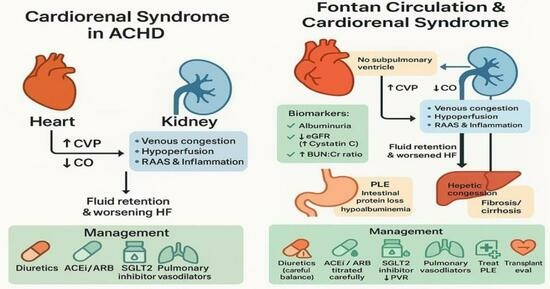 JCM_MDPI's tweet image. #mdpijcm
Recommended New #Review:
#Cardiorenal Syndrome in Adults with #Congenital_Heart_Disease
by Shailendra Upadhyay et al. @supadhyaymd  @MediPharma_MDPI
👉mdpi.com/3366868
🏫Connecticut Children’s @ctchildrens