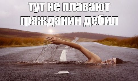 mikhasya8080's tweet image. 