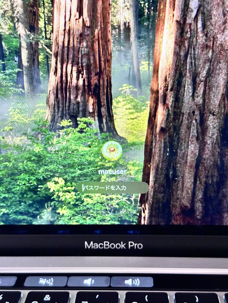 アップデートしたらログイン出来なくなった😭😭もうイヤじゃ...