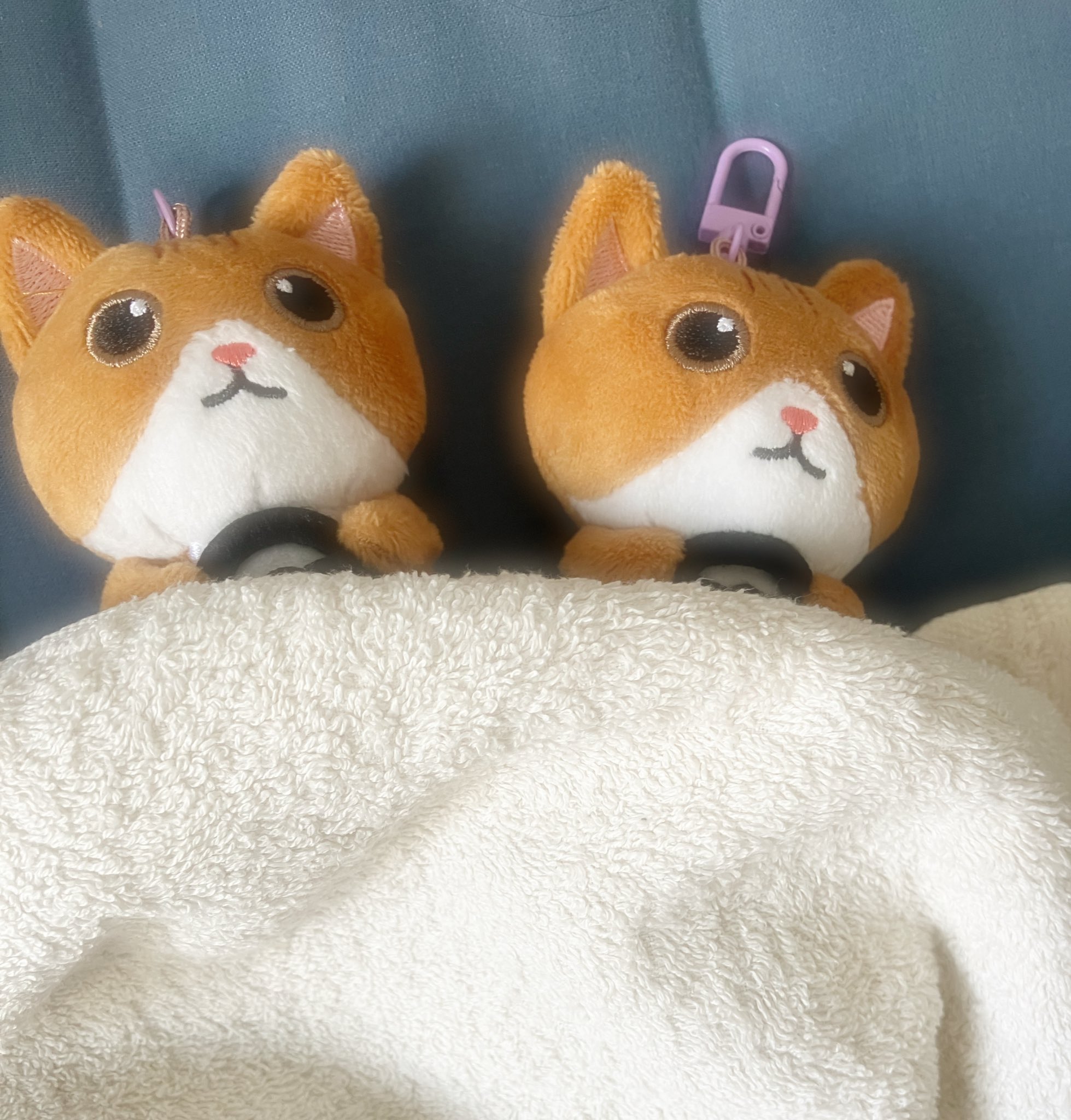 よちょんさま確認ページ♡ ひなの on X: 