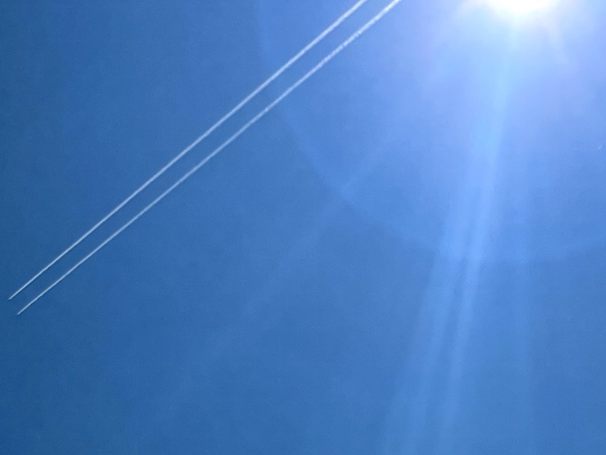 民間機が2機並んでブルーインパルスみたいになってた✈️
撮る時、太陽眩しすぎてだいぶアングルがズレてますが😅