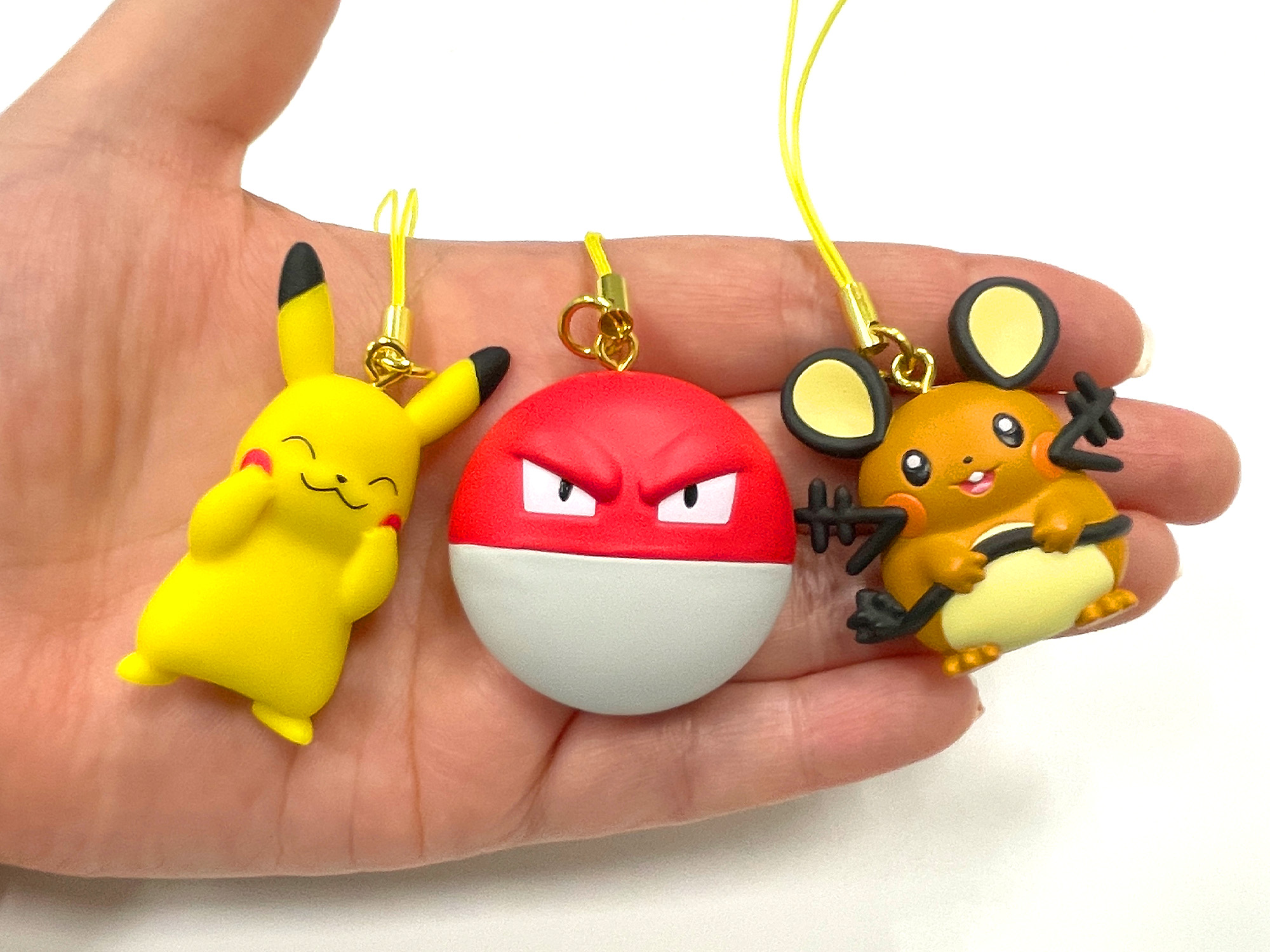 ポケモンだいすきクラブ編集部【公式】 on X: 