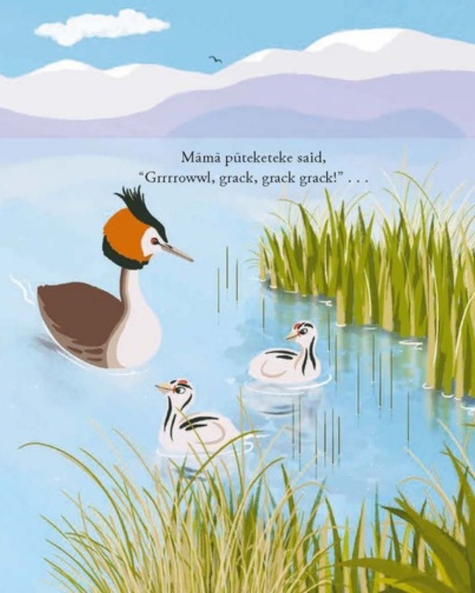 Forest_and_Bird's tweet image. 📣 Five Wee Pūteketeke – the children’s picture book by Forest & Bird chief executive Nicola Toki to celebrate the 2023 Bird of the Year – has just been shortlisted for the 2025 PANZ Book Design Awards in the Scholastic New Zealand Award for Best Children’s Book category 🎉…