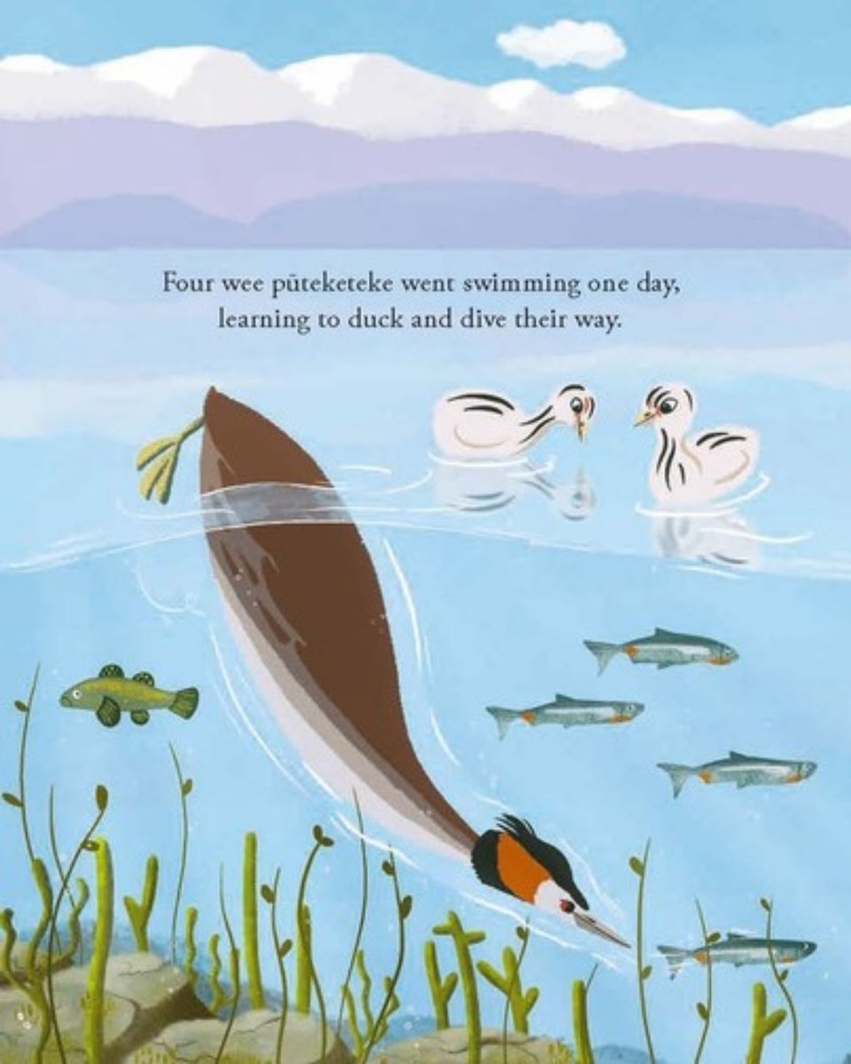 Forest_and_Bird's tweet image. 📣 Five Wee Pūteketeke – the children’s picture book by Forest & Bird chief executive Nicola Toki to celebrate the 2023 Bird of the Year – has just been shortlisted for the 2025 PANZ Book Design Awards in the Scholastic New Zealand Award for Best Children’s Book category 🎉…