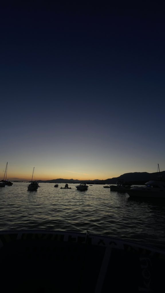 DefiDaddy_'s tweet image. vancouver summers goated