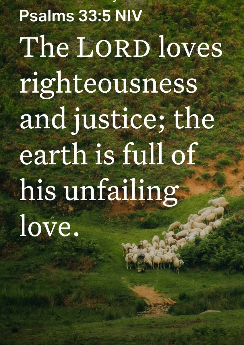 EdwinTashobya's tweet image. We are COMMANDED to love one another! Rom 13:8. After being involved in violence, people come forward to thank God!
Mat 12:34 NIV
You brood of vipers, how can you who are evil say anything good? @coufamilytv @j_mucunguzi #NoToElectionViolence
#PeaceFullElectionMyResponsibility