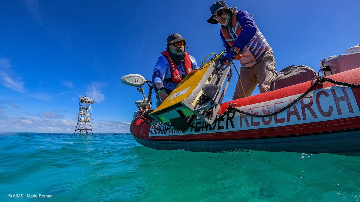 In the Field (@refieldstories) on Twitter photo Researchers at #AIMS are protecting the #GreatBarrierReef with help from <a href="/AARNet/">AARNet Australia</a>, #NREN of #Australia 🇦🇺
Using #FileSender, they transfer terabytes of reef data to #CSIRO in minutes for #AI analysis and faster action.
🔗 ow.ly/EfXa50WuqO4
#DigitalScience #InTheField Researchers at #AIMS are protecting the #GreatBarrierReef with help from <a href="/AARNet/">AARNet Australia</a>, #NREN of #Australia 🇦🇺
Using #FileSender, they transfer terabytes of reef data to #CSIRO in minutes for #AI analysis and faster action.
🔗 ow.ly/EfXa50WuqO4
#DigitalScience #InTheField