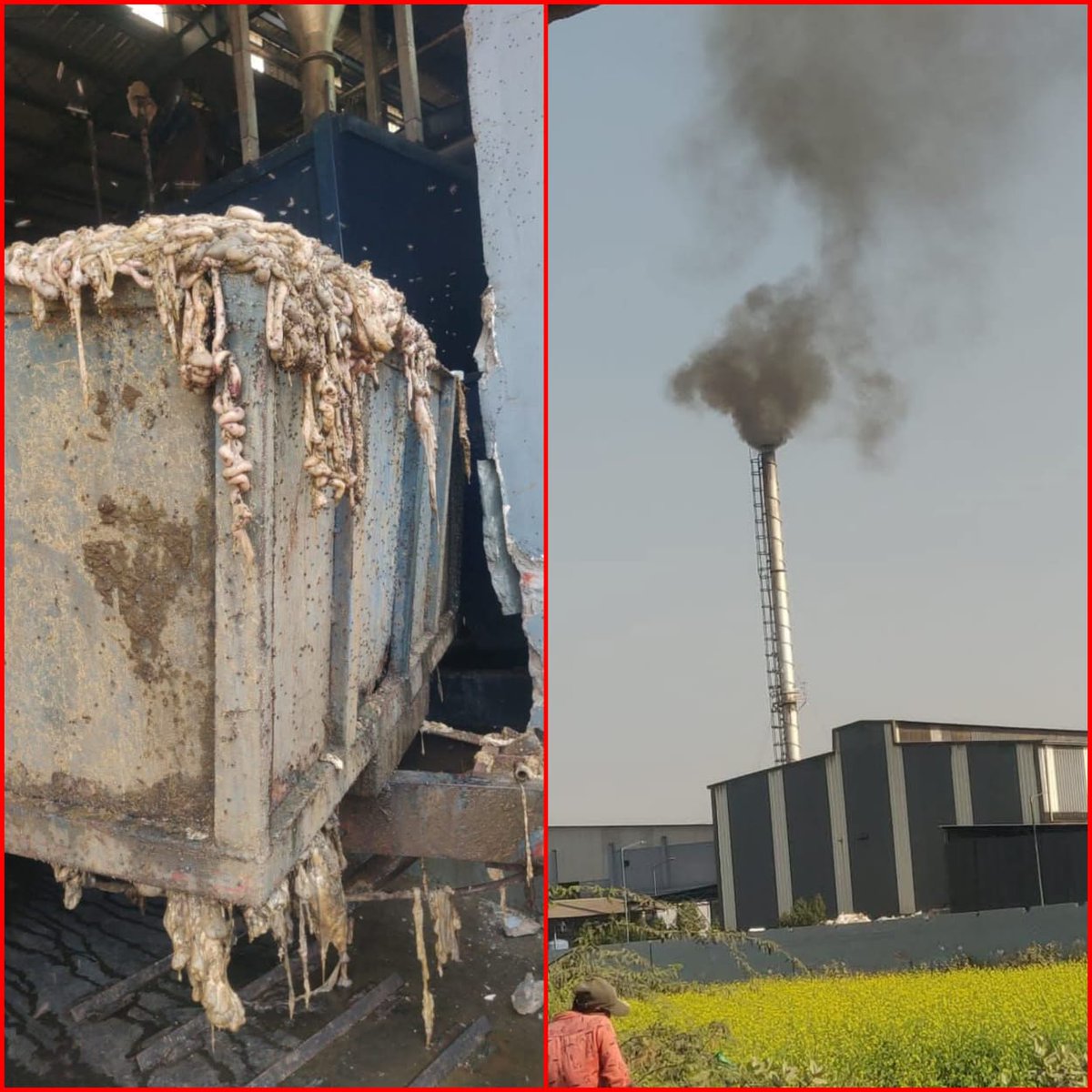 Sumedha Sharma (@sumedhasharma86) on Twitter photo After <a href="/myogiadityanath/">Yogi Adityanath</a> government went ahead shutting Slaughter houses in #UttarPradesh the backwaters of #Haryana Nuh became obvious choice. Around 8 are operational and over 20 are under construction in district. The waste is being illegally discharged in air, water, soil After <a href="/myogiadityanath/">Yogi Adityanath</a> government went ahead shutting Slaughter houses in #UttarPradesh the backwaters of #Haryana Nuh became obvious choice. Around 8 are operational and over 20 are under construction in district. The waste is being illegally discharged in air, water, soil
