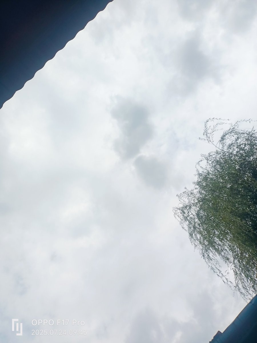 Good morning 
Beautiful weather ☁️🌡️