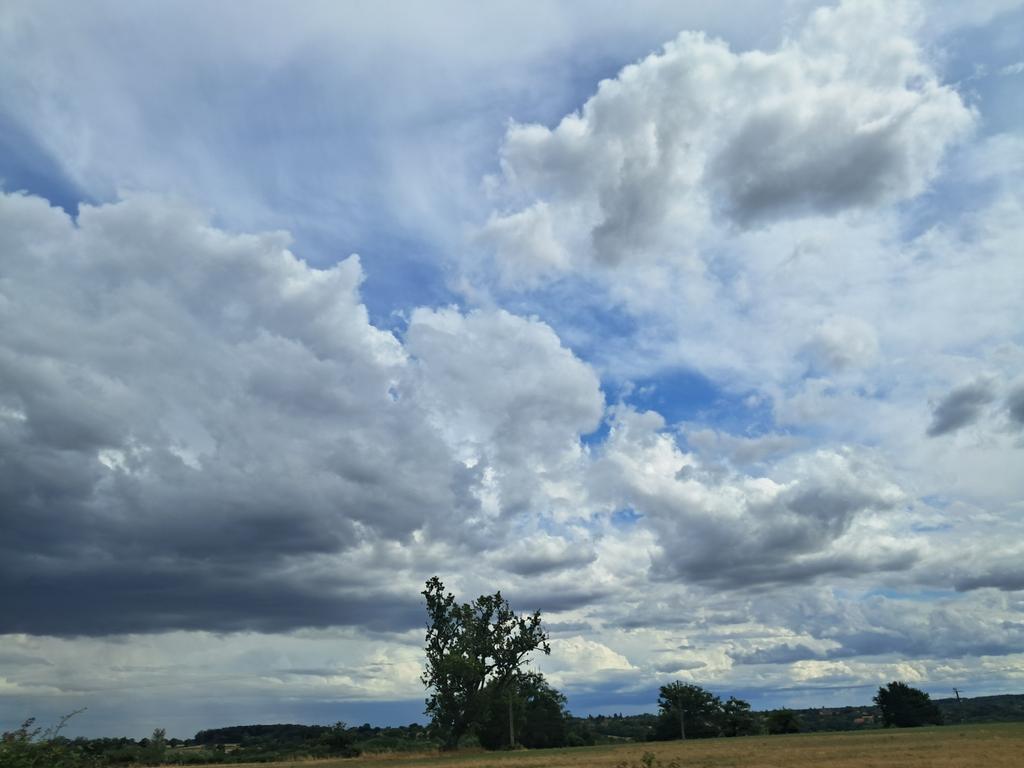 "Les souvenirs sont du vent, ils inventent les nuages."
(Jules Supervielle)

Doux jeudi...😘
Prenez soin de vous 🙏💝