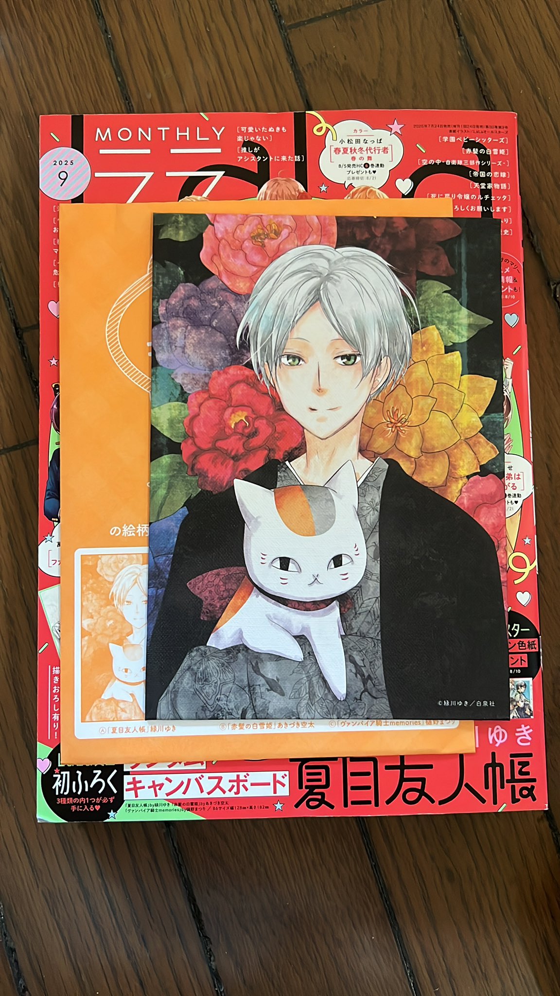 夏目友人帳　キャンパスボード Amazon.co.jp: 夏目友人帳 キャンバスボード : Office Products