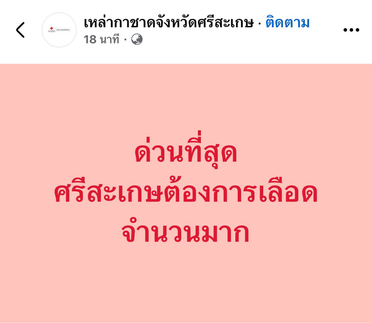 VoteforLingOrmTH tweet media