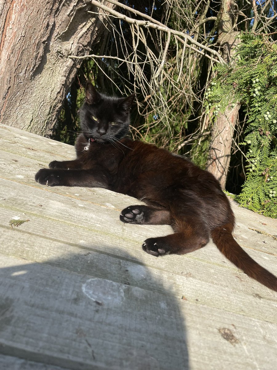 Chris Stockil tweet media