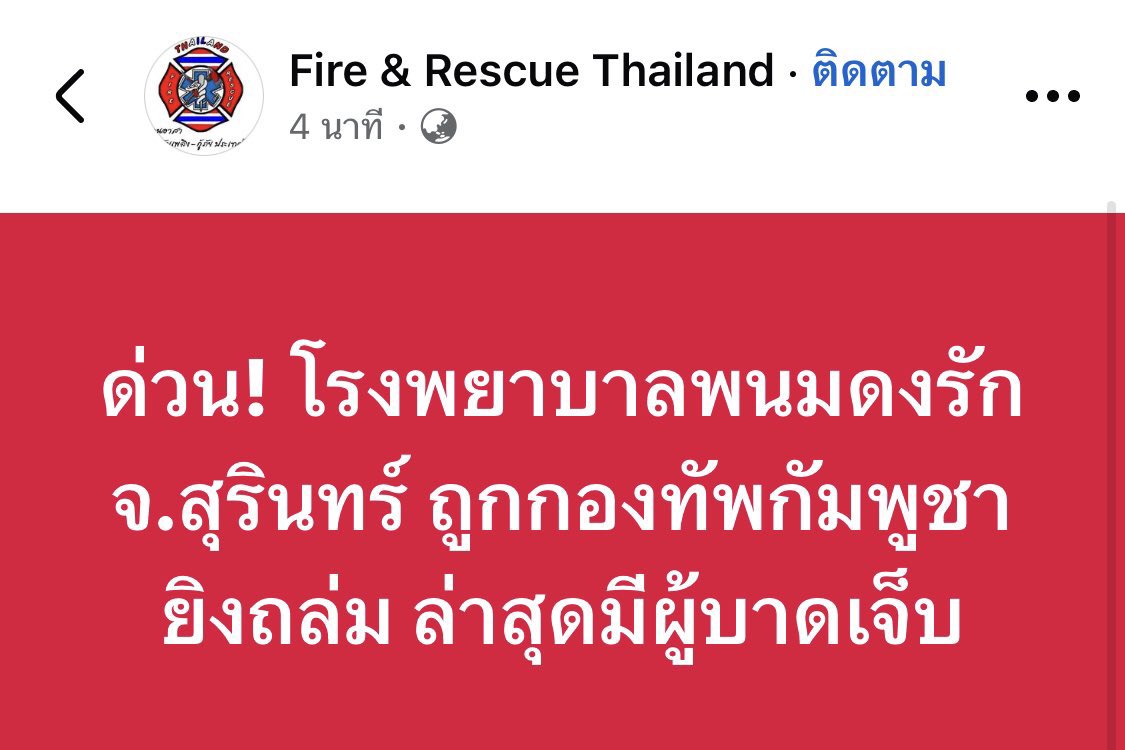 แม่หมีวาฬ... tweet media