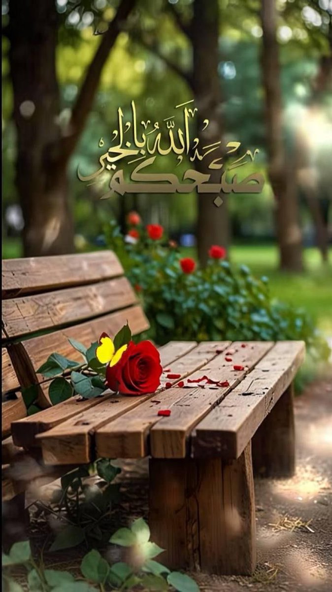 اللهم صباحًا يفيض أُنسًا وسلامًا وطمأنينة.