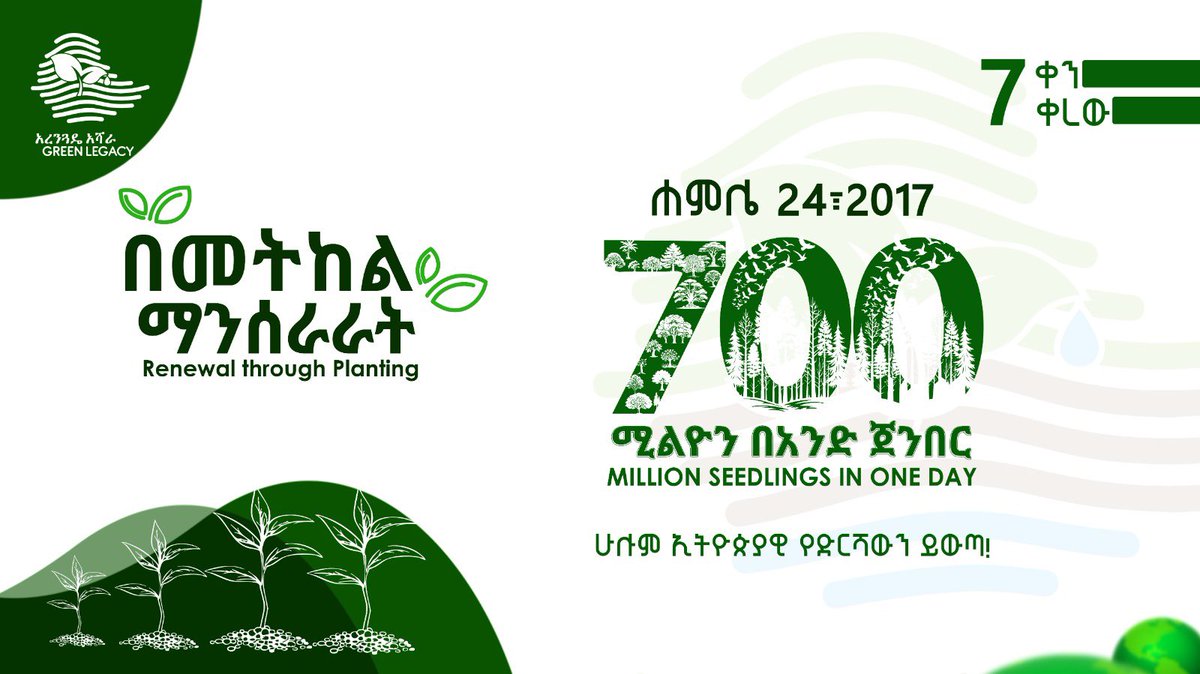 PMEthiopia's tweet image. ሐምሌ 24 ፣2017 700 ሚሊዮን ችግኝ በአንድ ጀንበር። እንዘጋጅ!
July 31, 2025 #Ethiopia will attempt planting 700 million seedlings in one day. Let’s get ready as the count down begins.
#አረንጓዴዐሻራ
#GreenLegacy
#PMOEthiopia