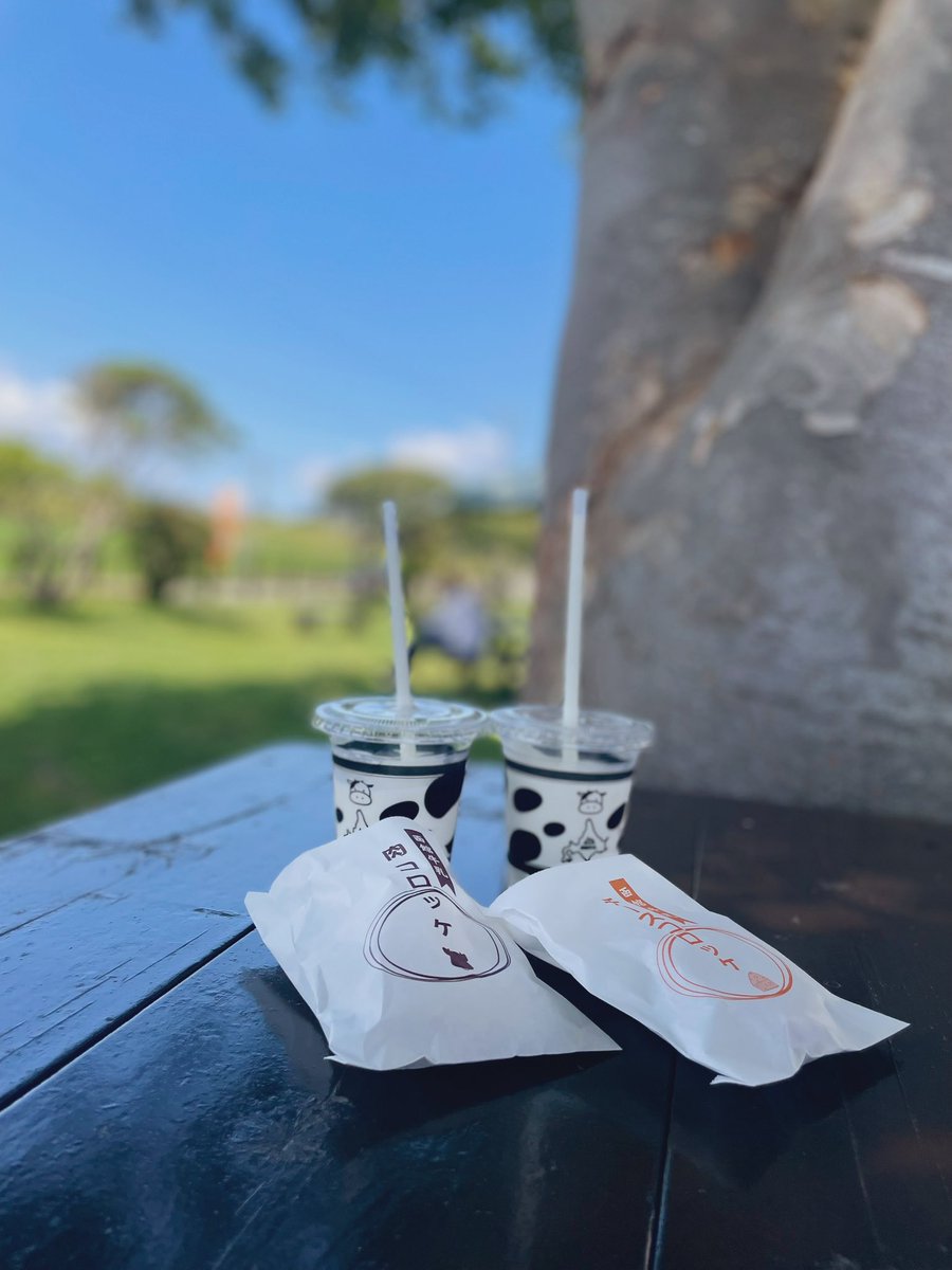 CRYnum07's tweet image. Summer nature 🍨🐮💐🍹
牧場のミルクシェイクが美味しすぎた🤤

紫陽花がたわわたわわ🏵️
