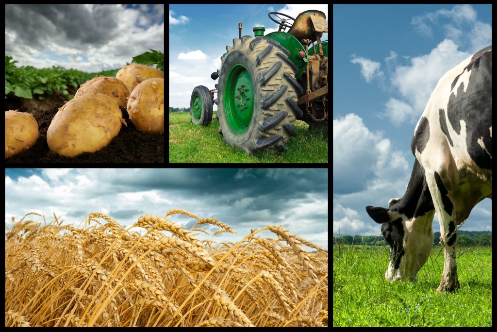 Agribusiness is the engine that transforms agriculture into wealth.

Are you in move?

say hi