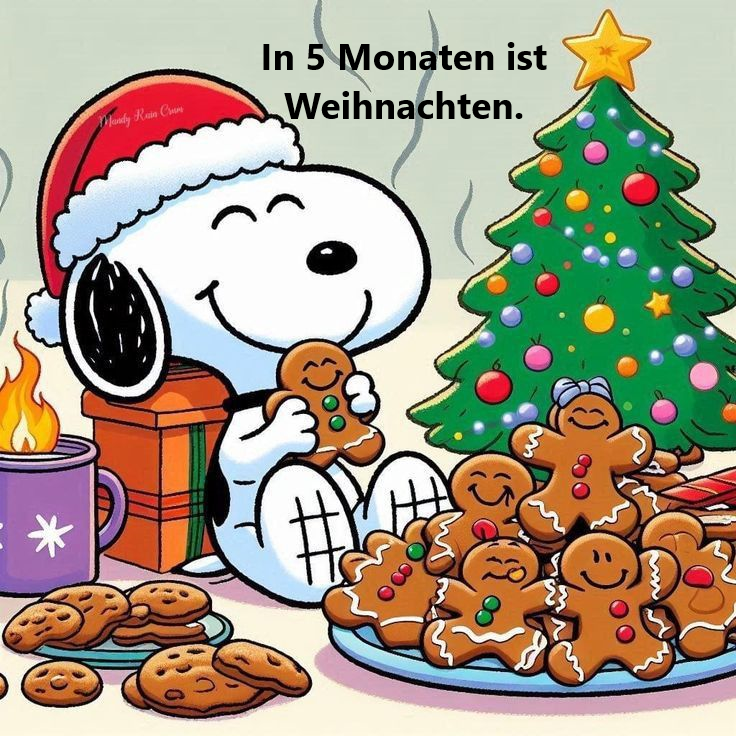Anja2410's tweet image. In 5 Monaten ist schon Weihnachten.
Erste Plätzchen - juhu - die gibt's schon bald im Supermarkt. 🥳
Und denkt dran, nicht vergessen in meinem meinbildkalendershop nach Weihnachtsgeschenken zu stöbern. shop.meinbildkalender.de/shop-3198282/
#autorinanjazachrau
#Geschenke