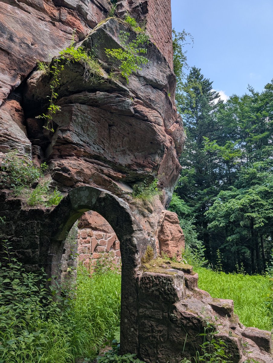 schlockback's tweet image. Burg Breitenstein im Pfälzer Wald gehört für mich zu den Kategorien
#LiebeIstAlles #SchönesGegenDoofes #FloodTheZoneMitSchoenem 😊
Habt alle einen schönen Donnerstag