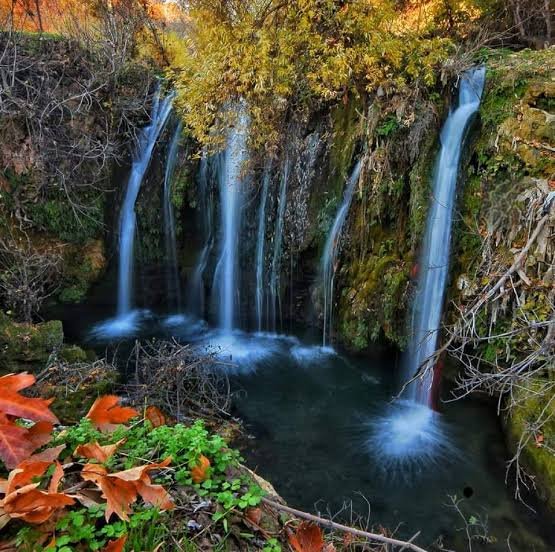 brahimaluci's tweet image. Bi pirsê, mirov diçe Xursê.
Berxê çê, naçe ber koza xelqê.
Gotina bi ehmeqan re ehmeqekî ye.
Ne ewrê gureguro ne merivê zireziro.
Çem ji kaniyê dest pê dike, zanîn ji pirsê.
Gotinên pêşiyan
Wêne: Xurs, Qoser (Dinêser), Mêrdîn