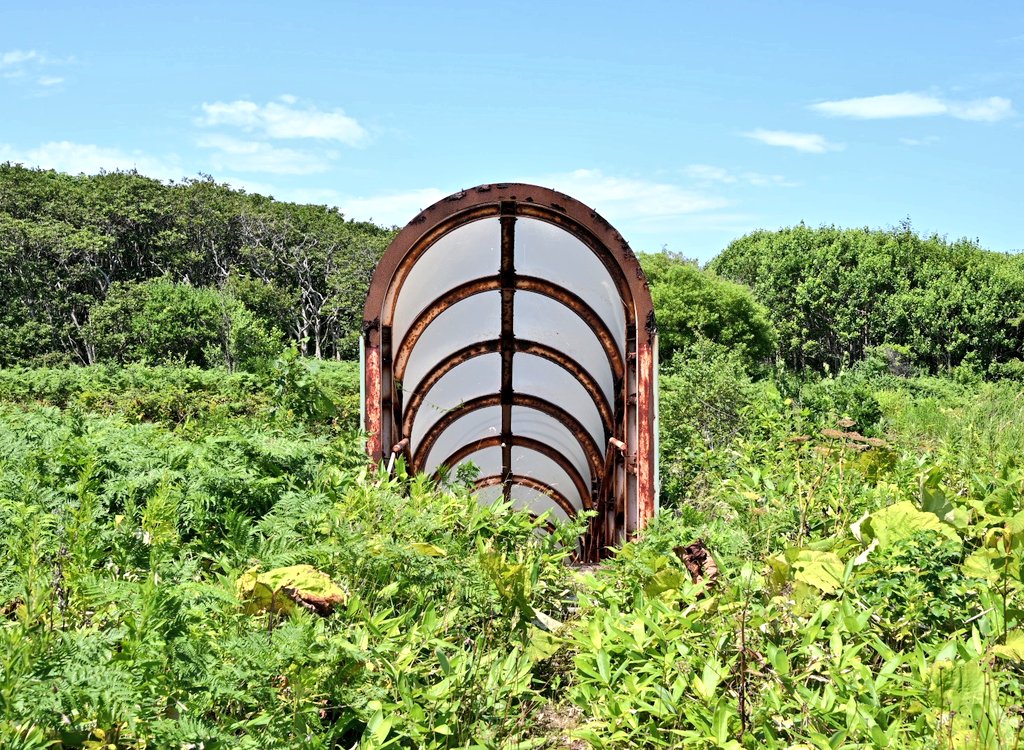 hiroring0323's tweet image. 異世界の入口に来ました…
#ひろりん2025年夏の北海道