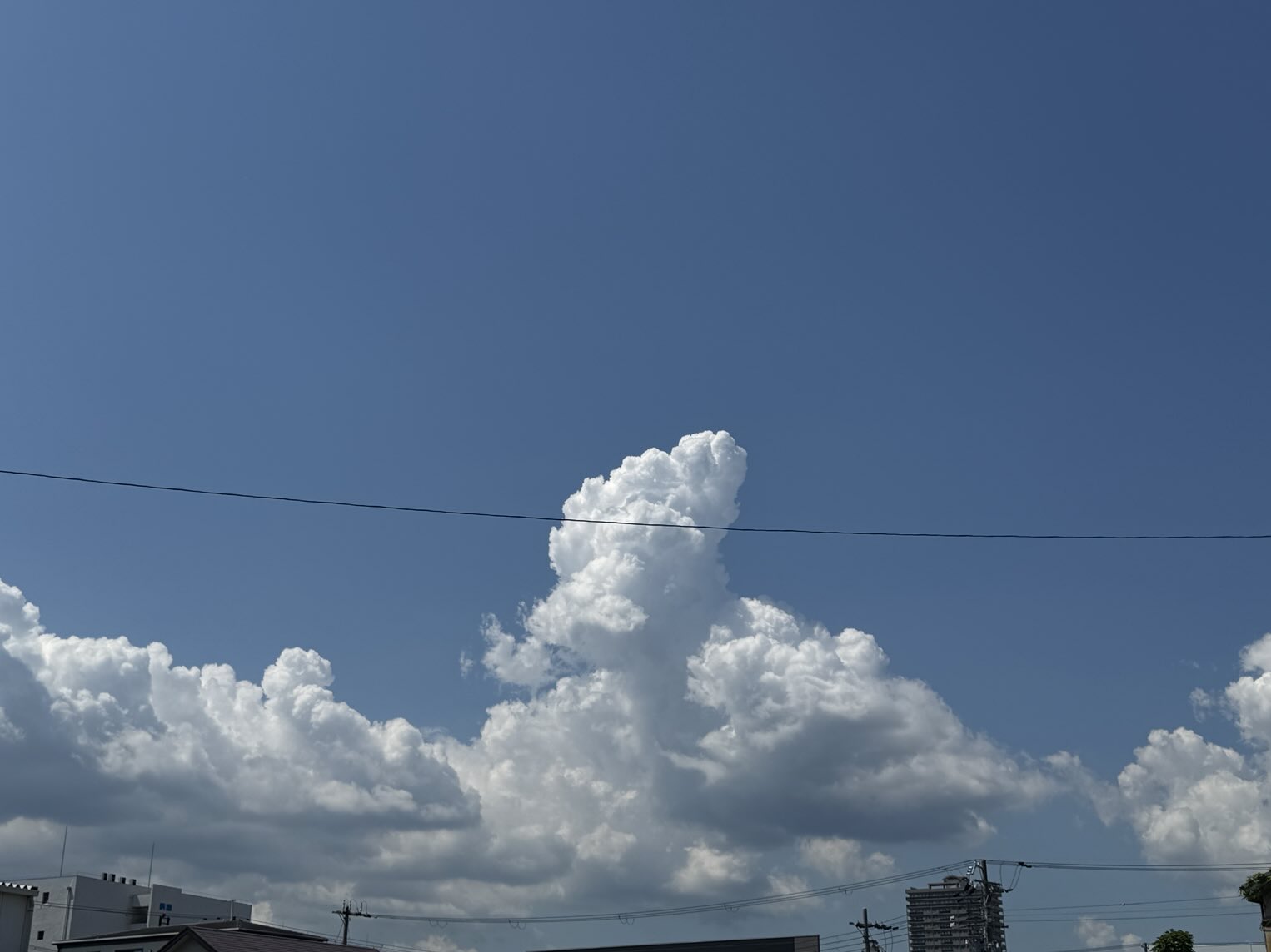 夏の雲 猫野 声 on X: 