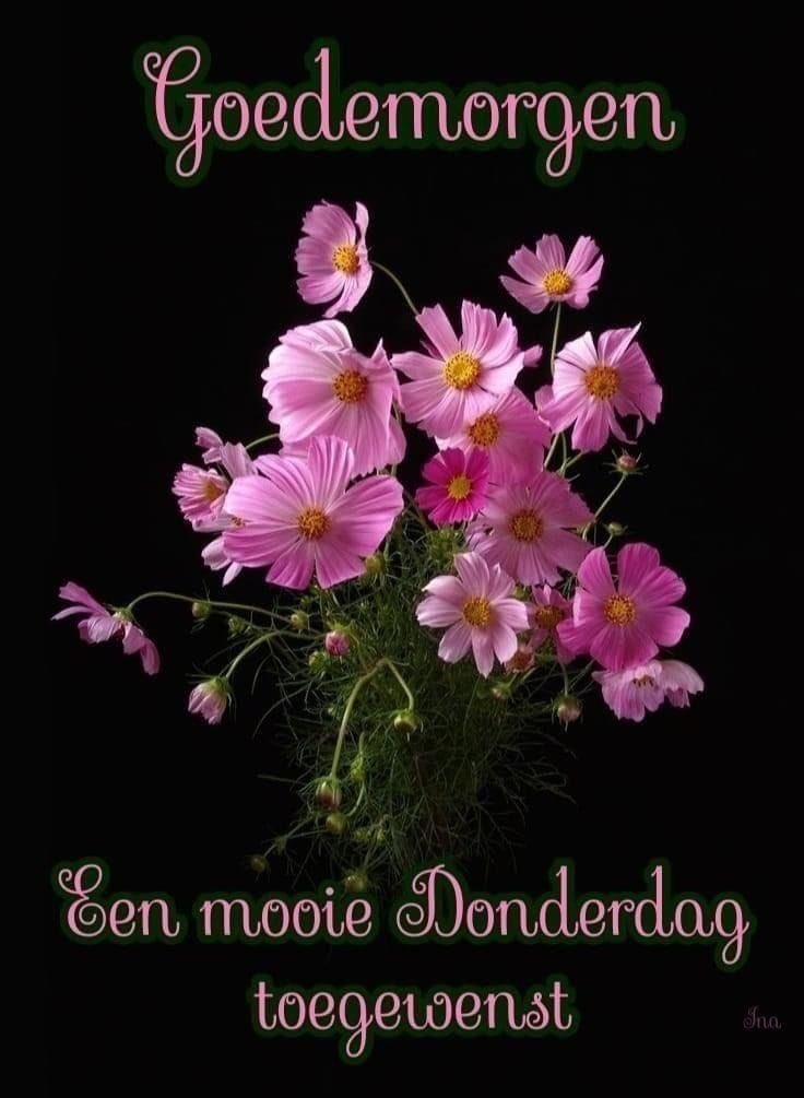 Goedemorgen iedereen