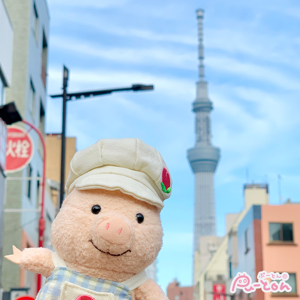 はくとん様❤️おまとめ専用ページです。4/22まで♡ フックー on X: 