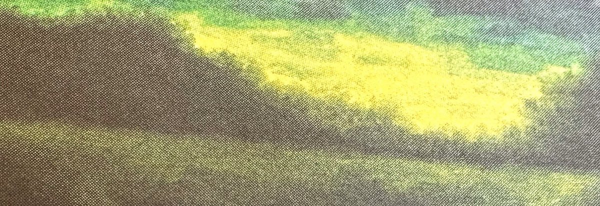 صورة.. تنادينا

تشرق بنا بألوان القيمة

تبدد الغيوم جوامع الحالمين

تسافر وراء الدوام

#هاشم_ذياب