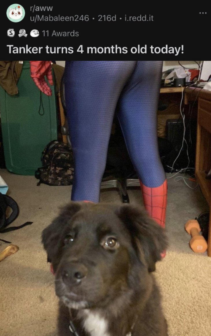 goodredditss's tweet image. 