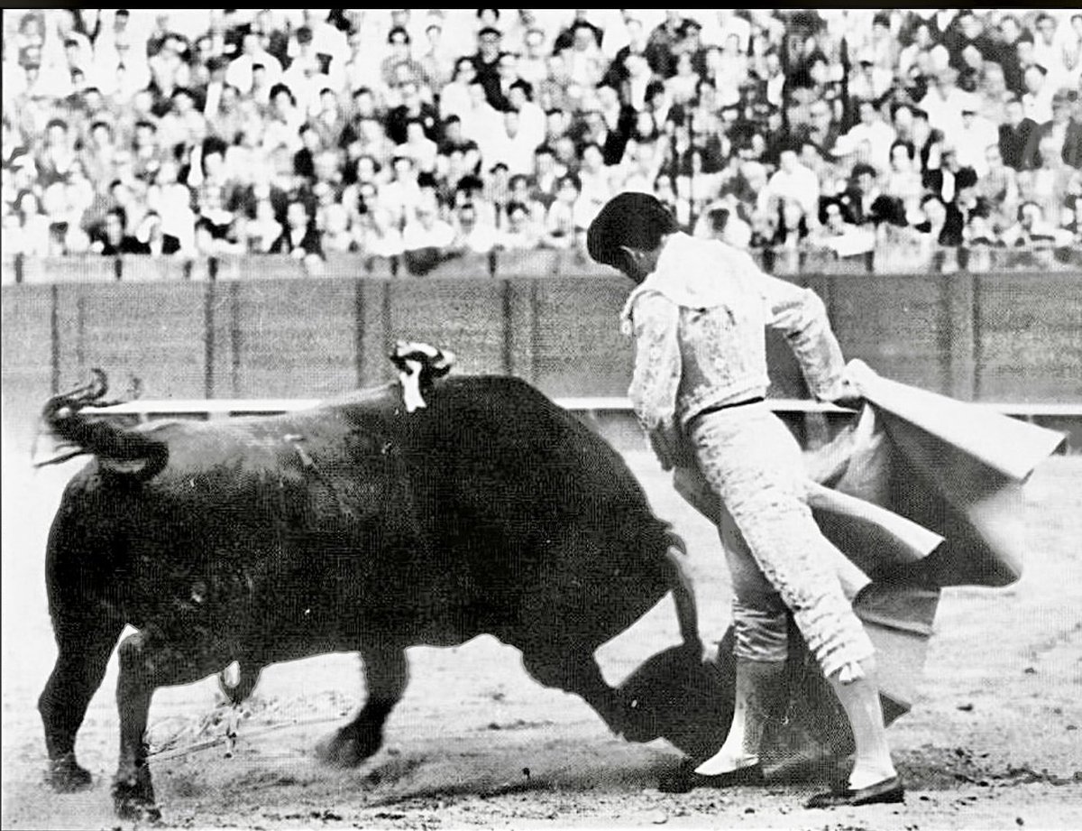 DESJARRETE DE ACHO tweet media