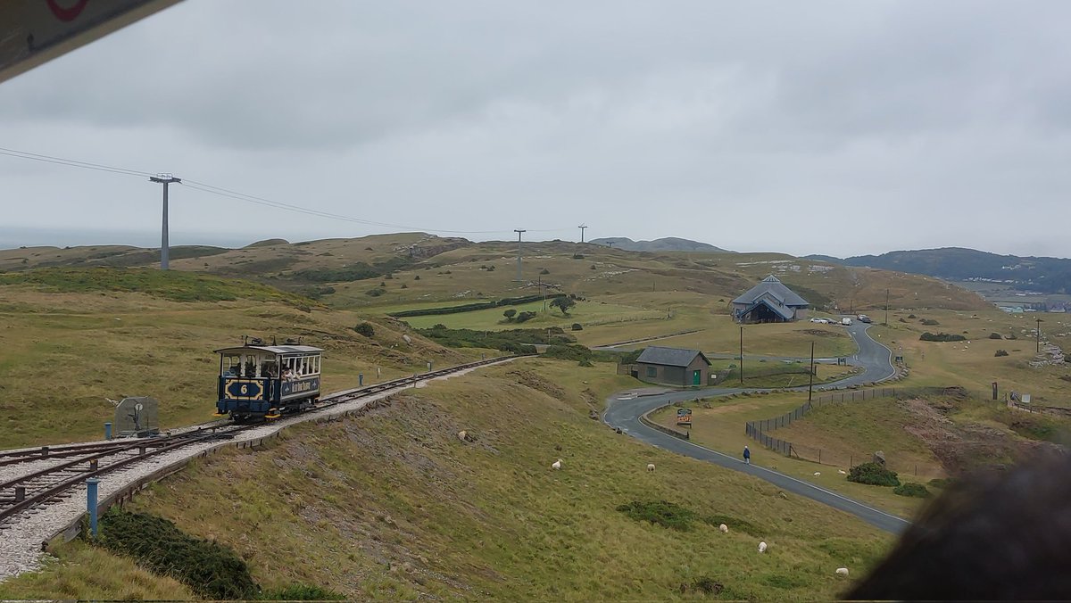 rhino_on_rails's tweet image. Travelling up the Great Orme