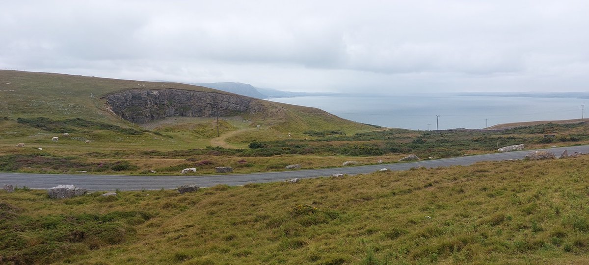 rhino_on_rails's tweet image. Travelling up the Great Orme