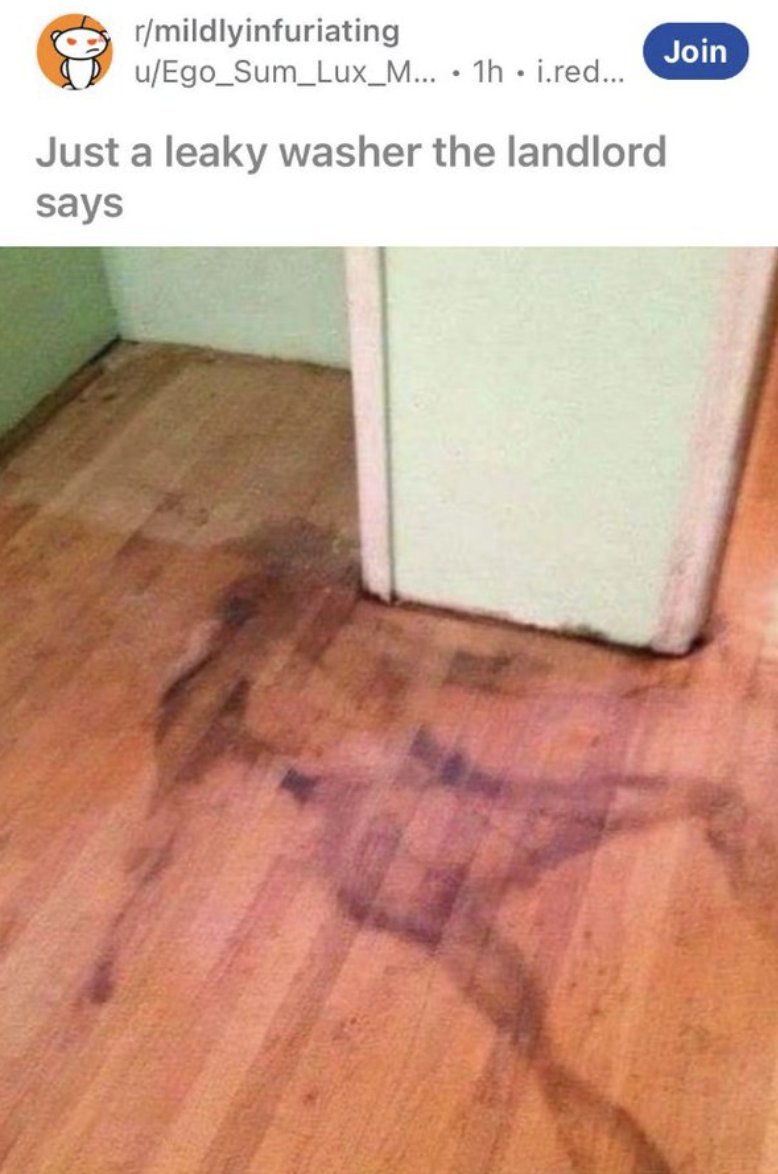 goodredditss's tweet image. 