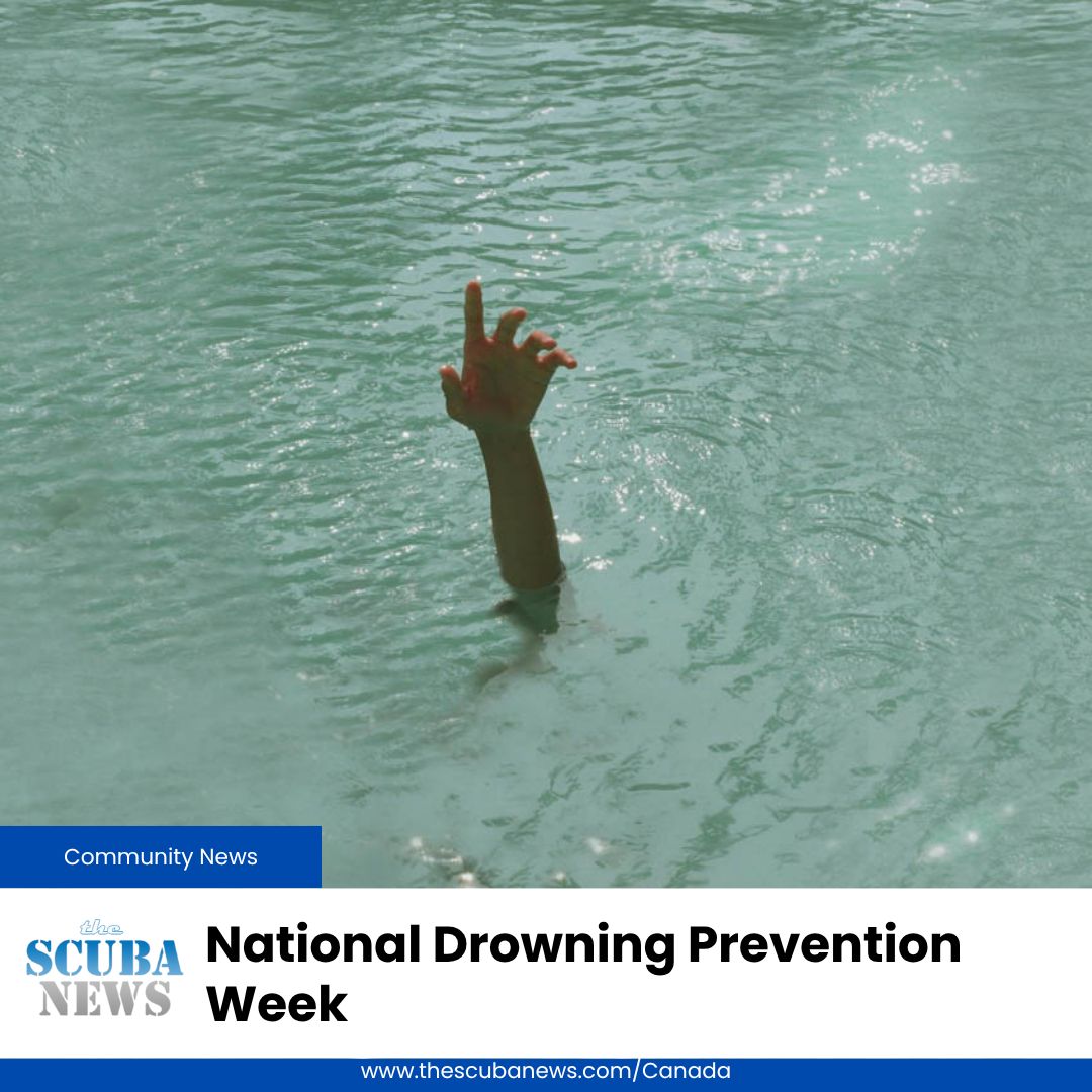 Discover how you can help The Lifesaving Society during "National Drowning Prevention Week"

🤿 👉  buff.ly/ptAcLFT