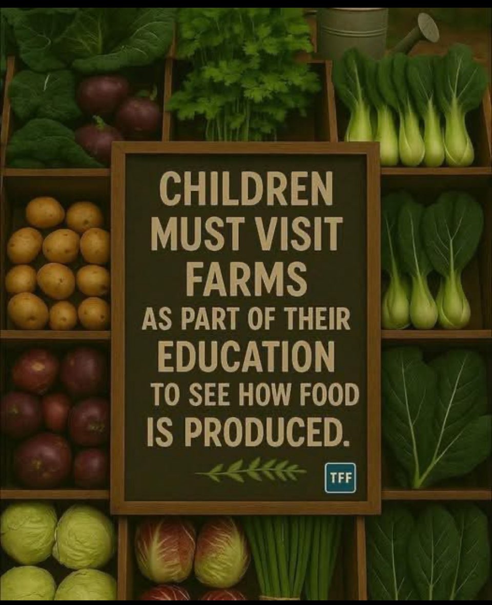 derekb1970's tweet photo. Life skills for our children are more important than ofsted results https://t.co/kYHjbtl6sI