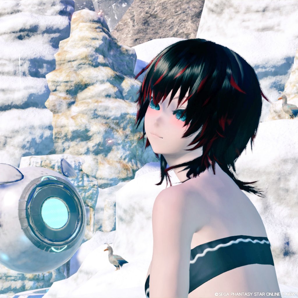 GAI0031's tweet image. アクセサリーとパーカー外したやつも一応☺️
#PSO2NGS_SS