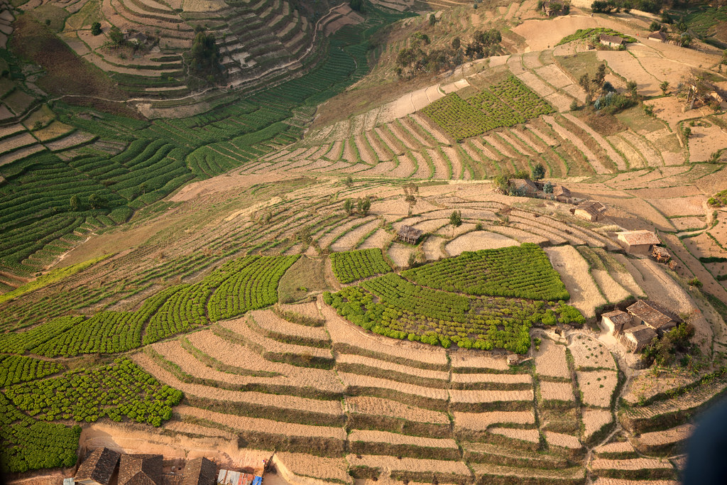 This aerial view of Rwanda's terraced hills showcases the power of contour farming! 🇷🇼
✅ Prevents soil erosion on steep slopes
✅ Maximizes water retention during rain  
✅ Increases crop yields on challenging terrain
✅ Creates stunning geometric landscapes 
#Rwanda #ContourFam
