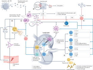 medntdj's tweet image. This new Review covers approaches aimed at specific immune pathways and efforts to restore immune homeostasis, such as CAR T cell therapies to eliminate B cells and regulatory T cell therapies.
nature.com/articles/s4157…
via @NatRevDrugDisc