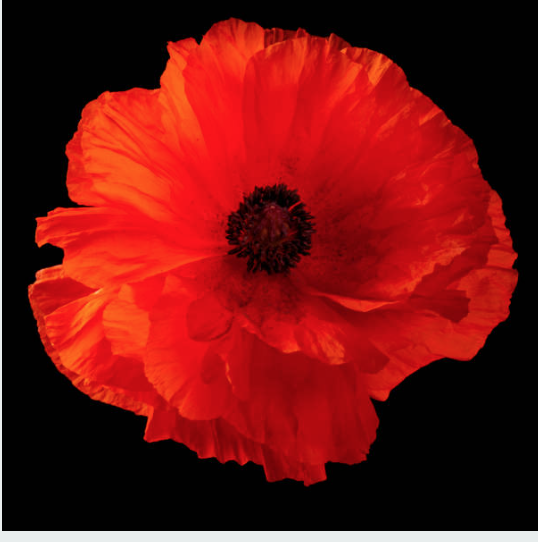 pettore's tweet image. Lost his life this day 24th. July 1940.
FO. John Lawrence Allen.
One of THE FEW.
bbm.org.uk/airmen/AllenJL…
He was last seen making a controlled decent with a dead engine.
His Spitfire spun in and he was killed.
Age 24.
