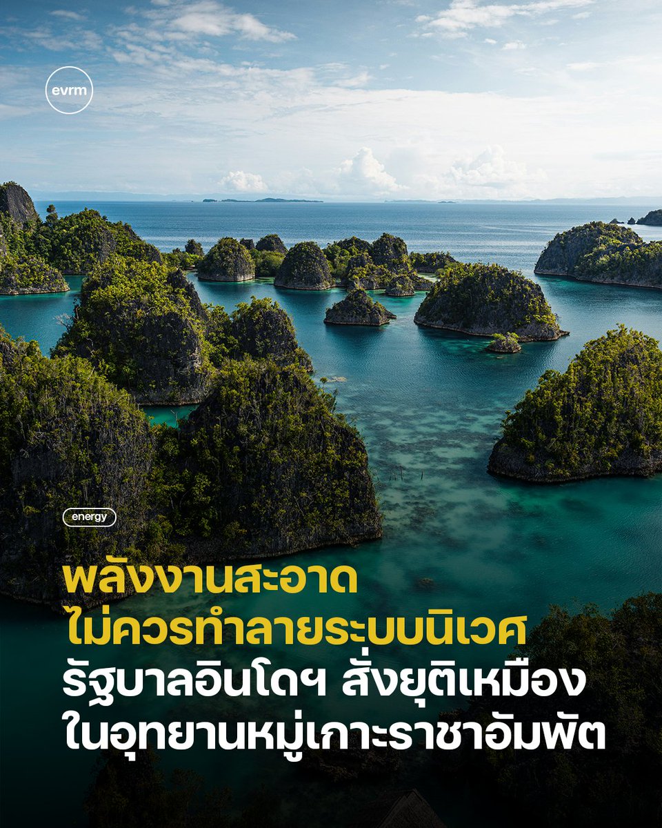 environmanth's tweet image. พลังงานสะอาดจริงหรือ? เมื่อเบื้องหลังรถยนต์ไฟฟ้าอาจแลกมาด้วยการทำลายธรรมชาติและชีวิตผู้คน
✲ กรณีศึกษา: หมู่เกาะราชาอัมพัต (Raja Ampat) ที่ขึ้นชื่อว่าอุดมสมบูรณ์เป็นลำดับต้น ๆ ของโลกถูกคุกคามด้วยการดำเนินกิจการเหมืองแร่ กระทบสิ่งแวดล้อมและผู้คน…