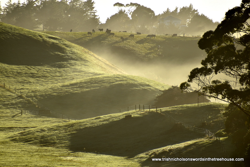 "There are no fixtures in nature. The universe is fluid and volatile. Permanence is but a word of degrees."
Ralph Waldo Emerson
#landscapephotography #nature