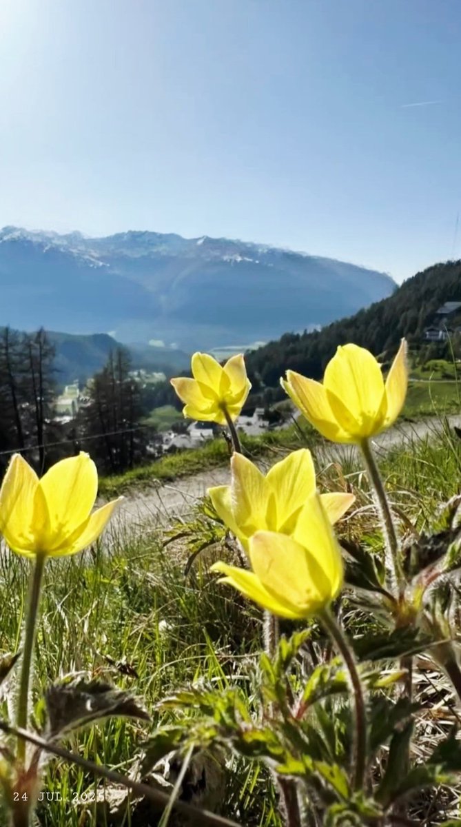 codice_nature's tweet image. Buongiorno 🌞🌈☕ e buon giovedì anime belle 💝. Ci sono persone che riescono a trasformare il loro interesse in arte, infondendo in esso emozione e significato. Non si tratta solo di tecnica, ma di un linguaggio che comunica l’essenza più profonda dell’esperienza umana 😉