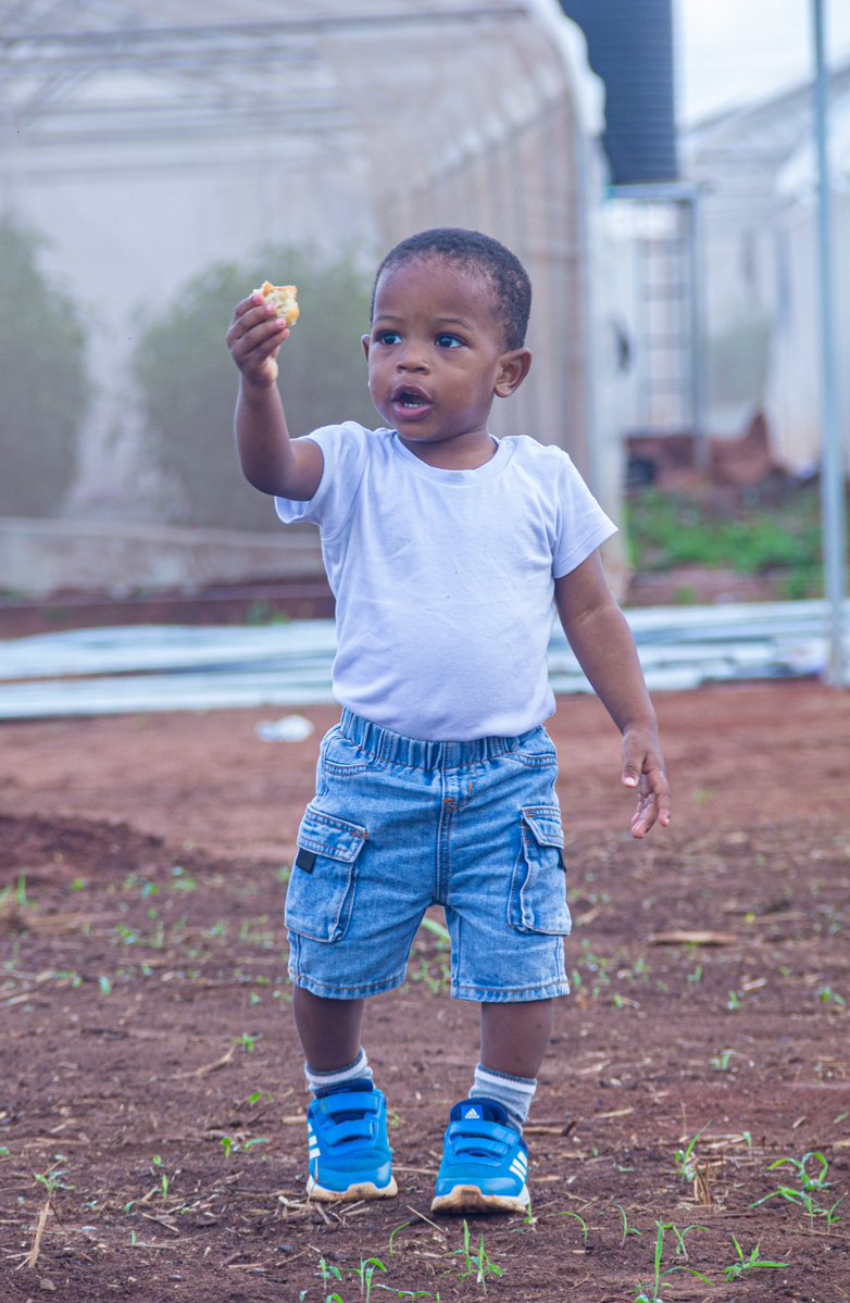 Samsonprolific's tweet image. Farming can be a hobby
Farming can be a culture
Farming can be therapeutic
Farming can also be a business
Do not run your farm as a hobby and question the lack of profit.
Farming - to grow crops or rear animals
It is a science
Agricultural Science
A good farmer is not…