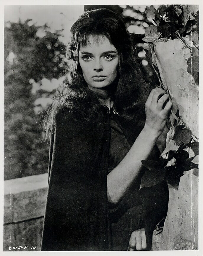 🌈 🌼 вríttαnч 🐰 💕|#ʜᴀᴘᴘʏsᴘʀɪɴɢ #hαppчprídє (@lateandconfused) on Twitter photo Drop a beautiful lady of horror 😱
Barbara Steele, one of the first scream queens 🖤🤍 Drop a beautiful lady of horror 😱
Barbara Steele, one of the first scream queens 🖤🤍