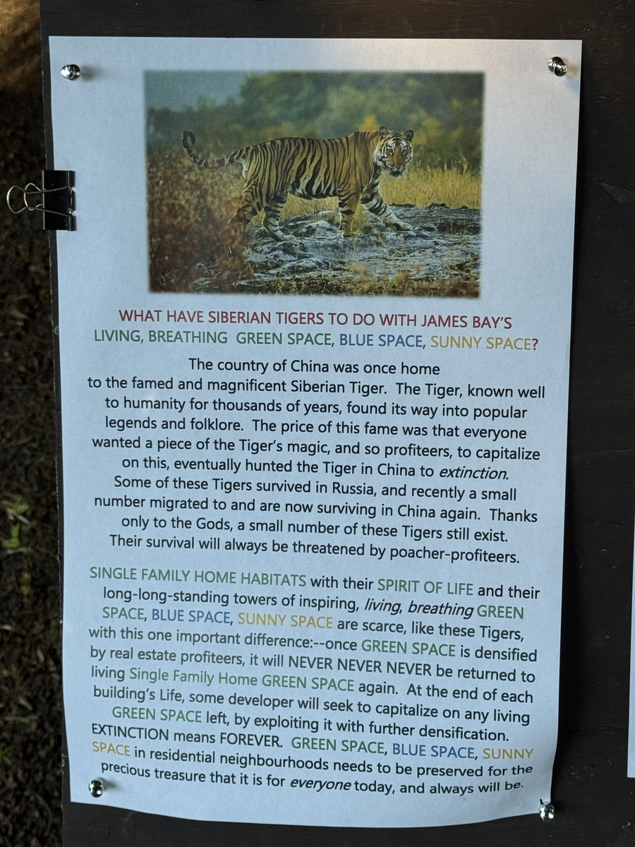 William Wilkinson tweet media