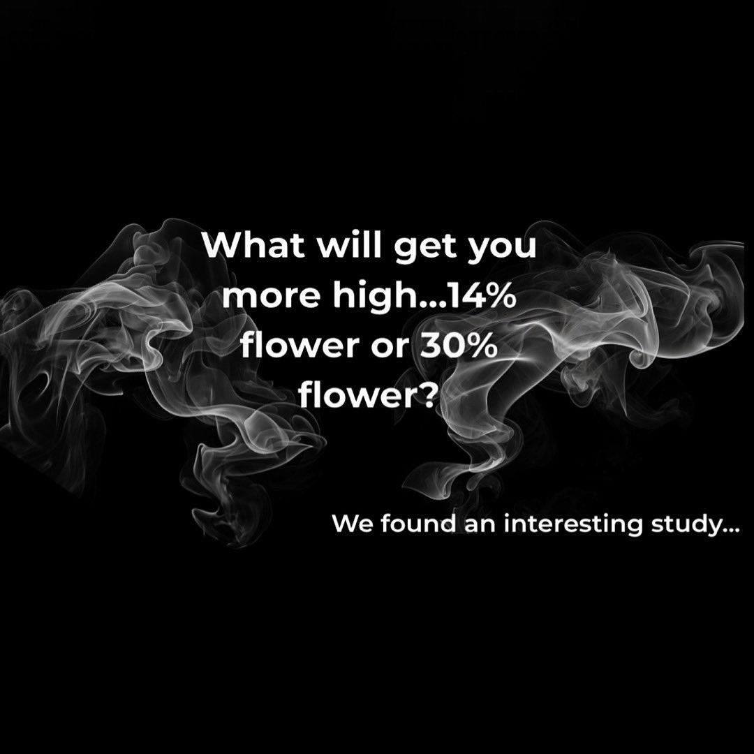 What really gets you high? 👀 It’s not just THC. Terpenes, bioavailability &amp; more all play a role. 🔬
👉 fieldsofgreenforall.org.za/what-gets-you-…
#cannabis101 #PeoplesPlantLobby #daggaclubs #IAmNotACriminal #StopTheCops 🇿🇦
