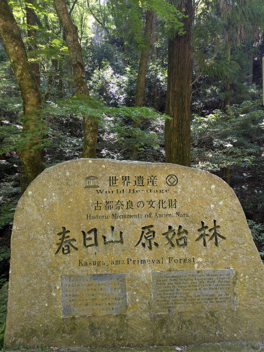 今年は春日大社っ