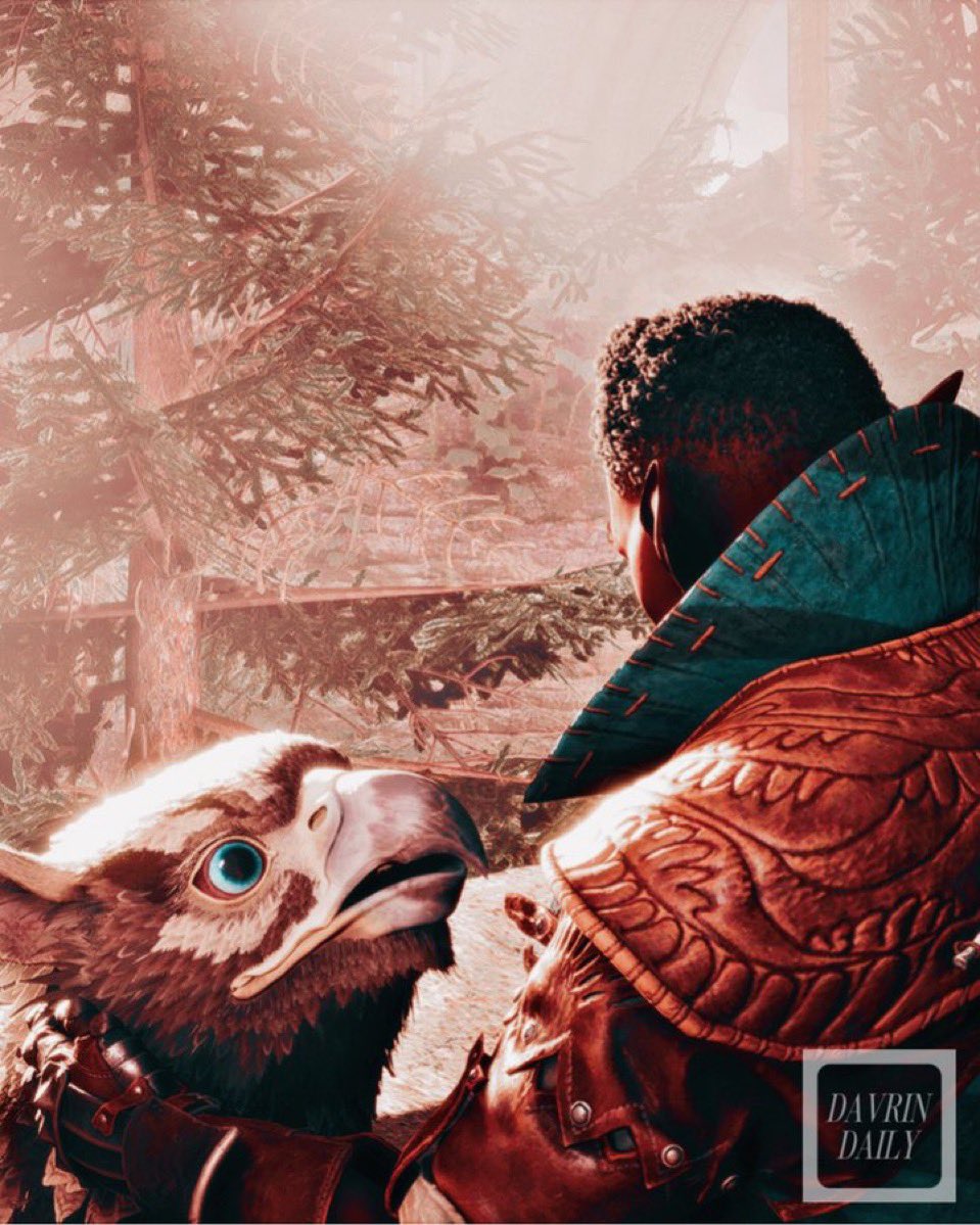 davrindaily's tweet image. 